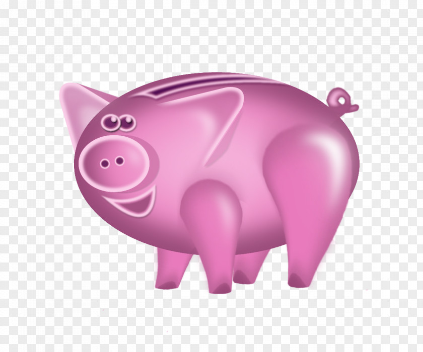 Piggy Bank Education PNG