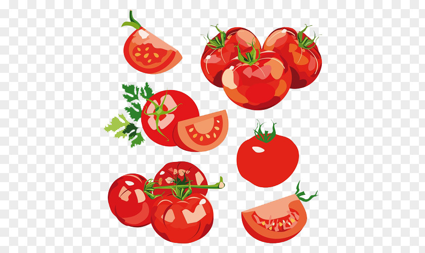 Tomato Vegetable Salad Clip Art PNG