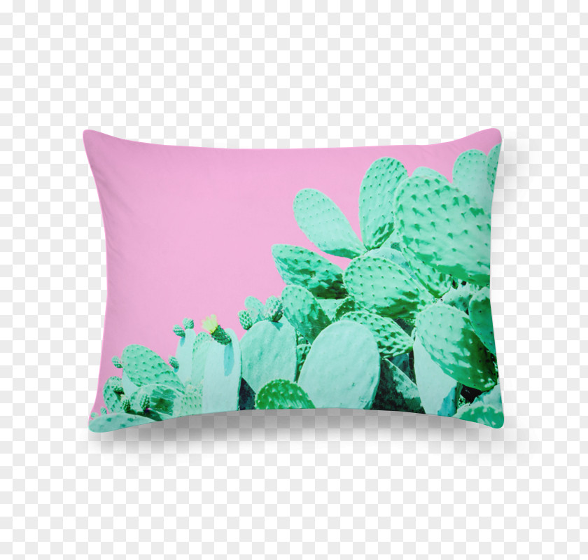 Cactus Cactaceae Garden Throw Pillows Plant Desert PNG