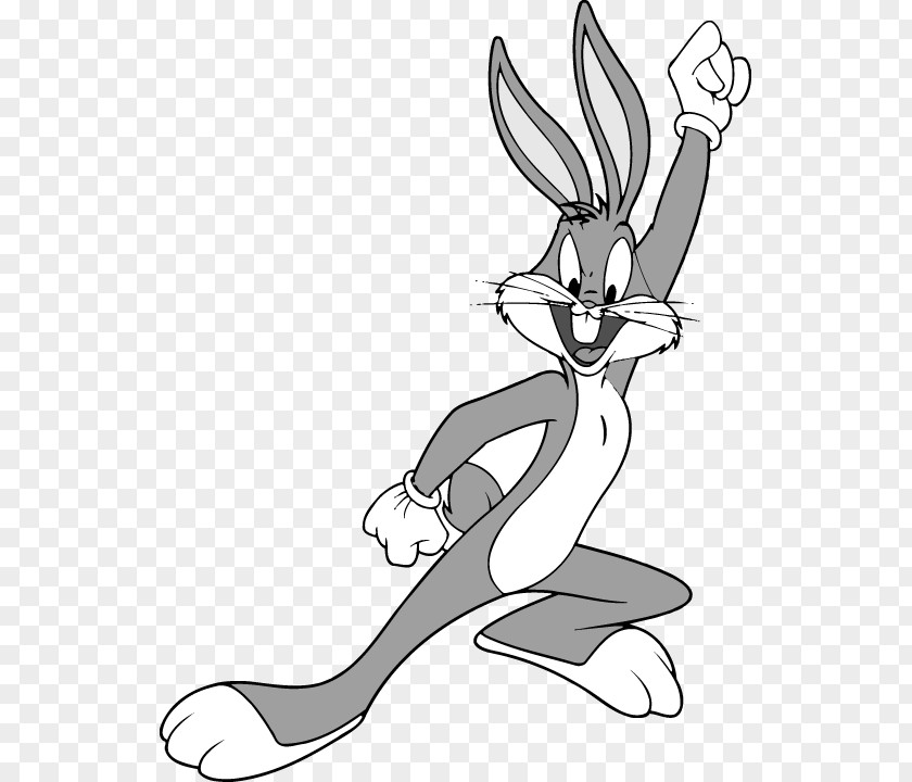 Cartoon Characters Clip Art Bugs Bunny Elmer Fudd Vector Graphics Daffy Duck Image PNG