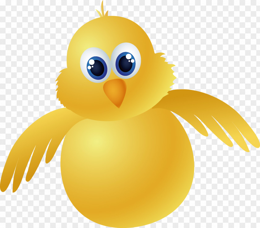 Cartoon Cute Chick Chicken PNG