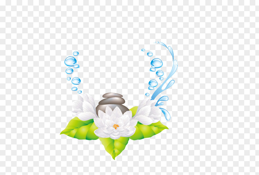 Exquisite Lily Circle PNG