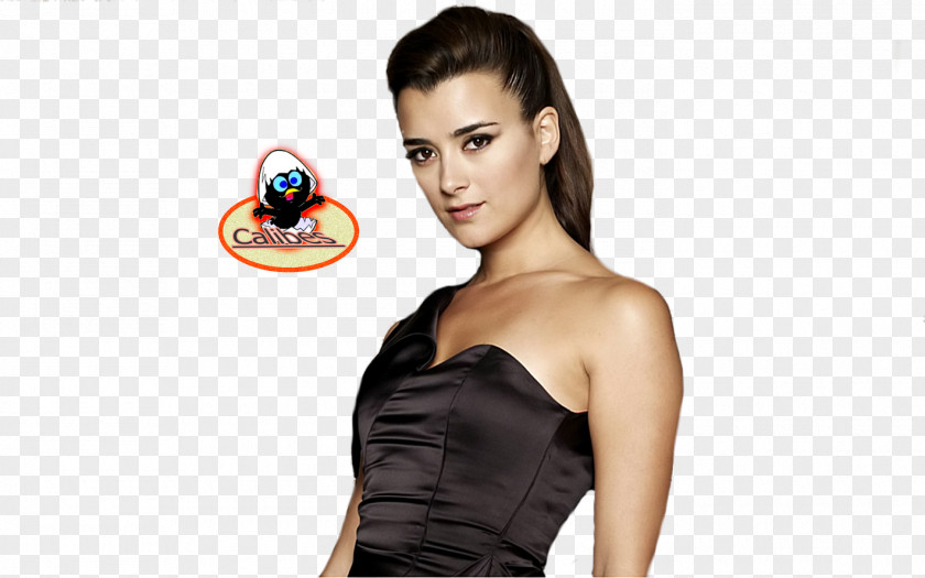 Pablo Cote De Ziva David NCIS Leroy Jethro Gibbs PNG