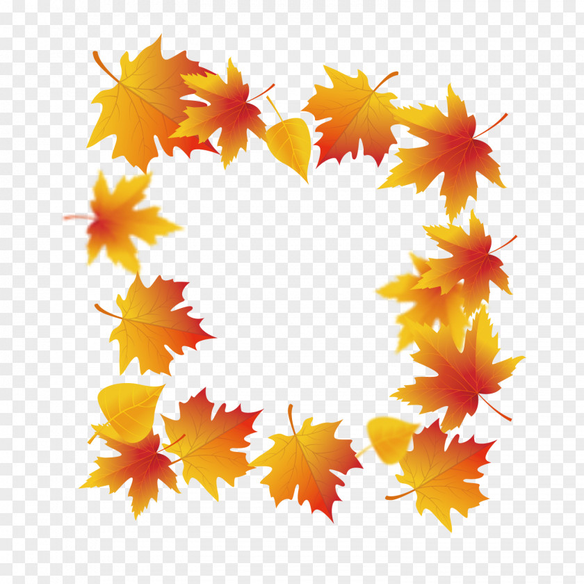 Autumn Maple Leaves Leaf PNG