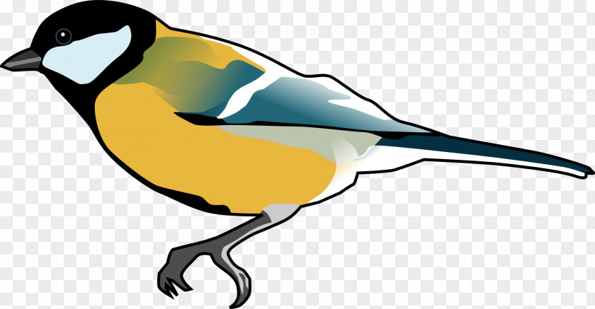 Bird Clipart Finch Clip Art PNG