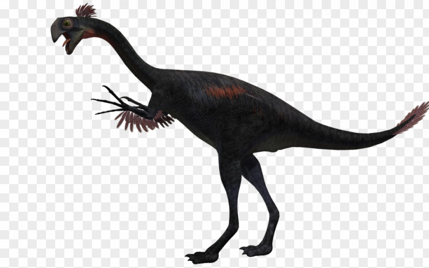 Gigantoraptor Velociraptor Alectrosaurus Bird Agathaumas PNG