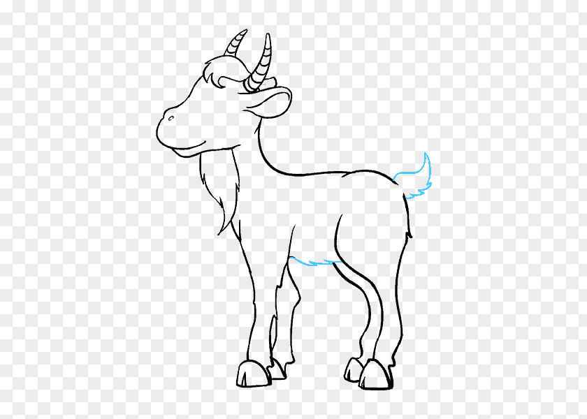 Goat Drawing Sheep Cartoon PNG