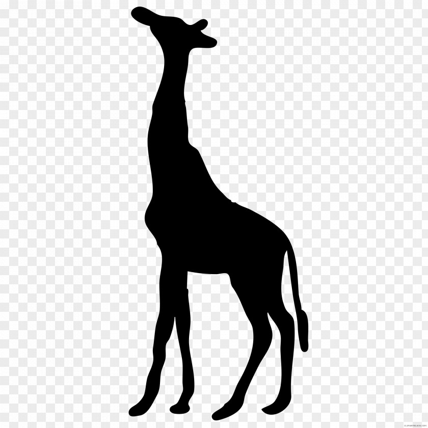 Silhouette West African Giraffe Clip Art PNG