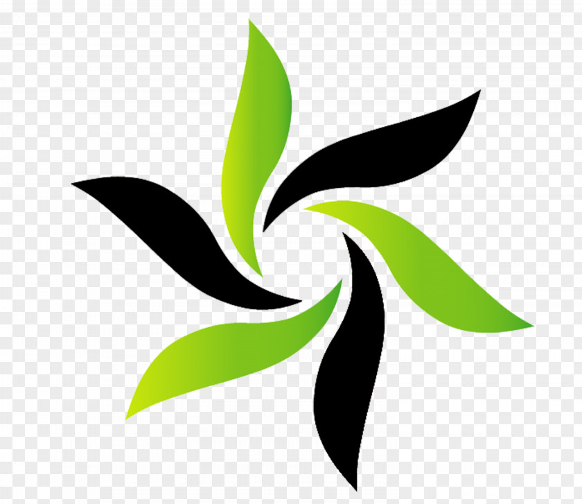 Turf Leaf Desktop Wallpaper Plant Stem Logo PNG