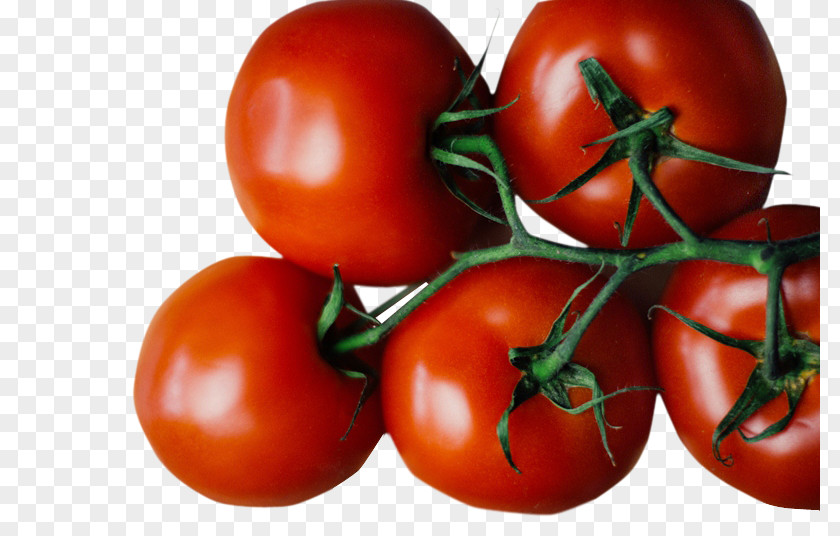 Vegetable Tomato Soup Juice Sauce Relish PNG