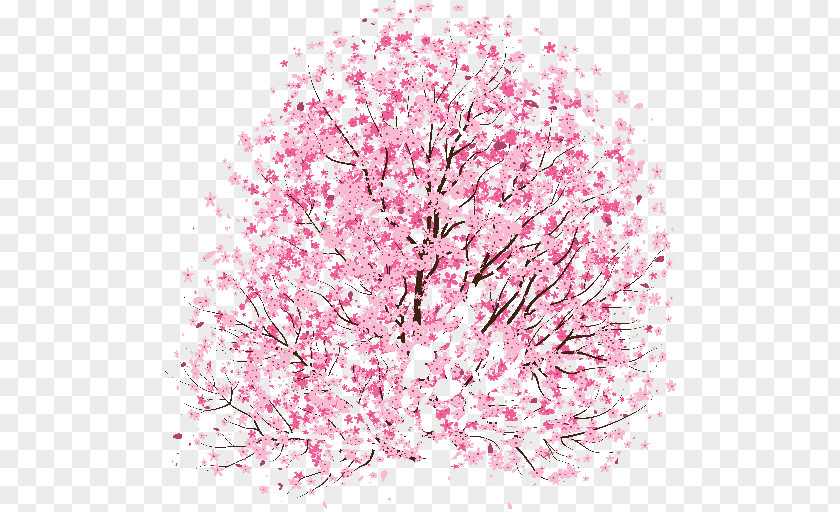 Cherry Blossom Drawing Idea Clip Art PNG