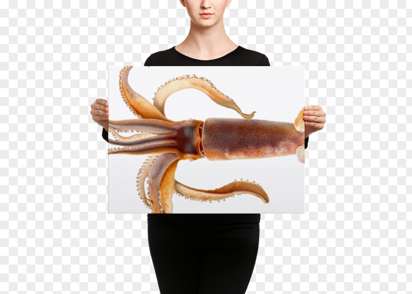 Design Colossal Squid Cephalopod Octopus The Dream Of Fisherman's Wife PNG
