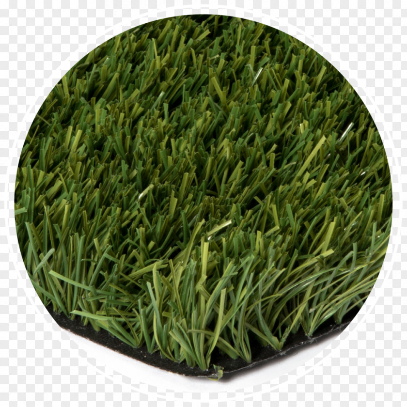 Fake Grass Grasses Economy Lawn Tanner's Turf PNG