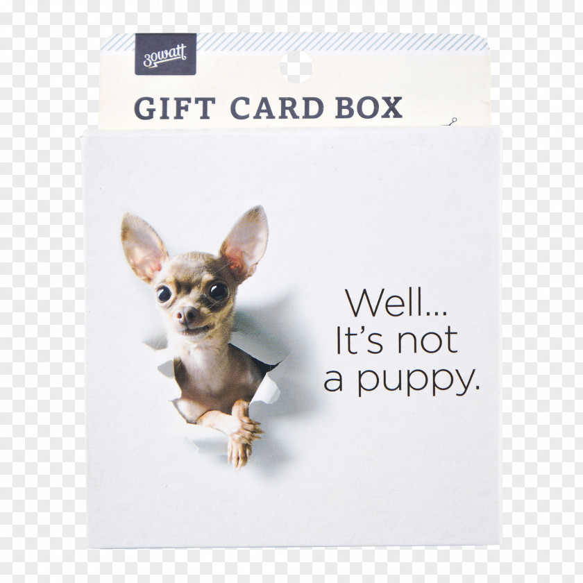 Gift Items Chihuahua Royalty-free Stock Photography PNG