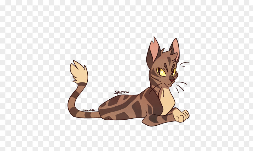 Kitten Tabby Cat Whiskers Warriors PNG