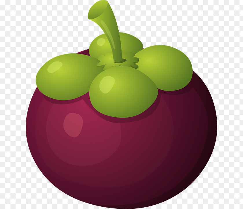Purple Mangosteen Food Fruit Clip Art PNG