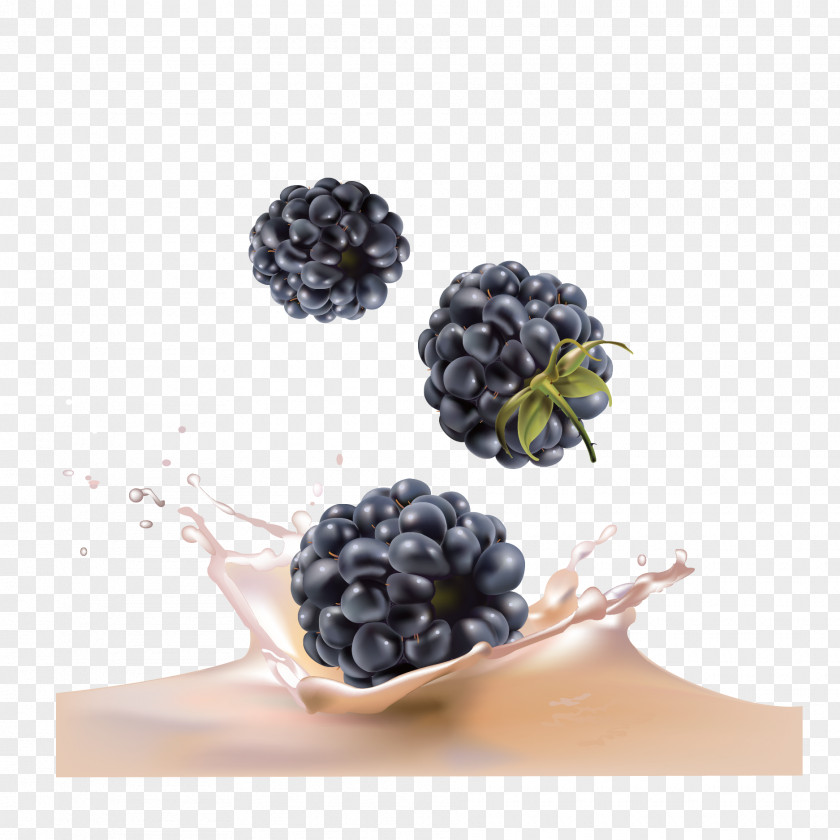 Vector Blueberry Juice Blackberry Fruit PNG