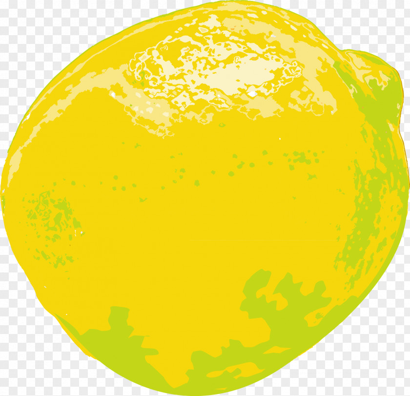 Vector Illustration Lemon Citron PNG