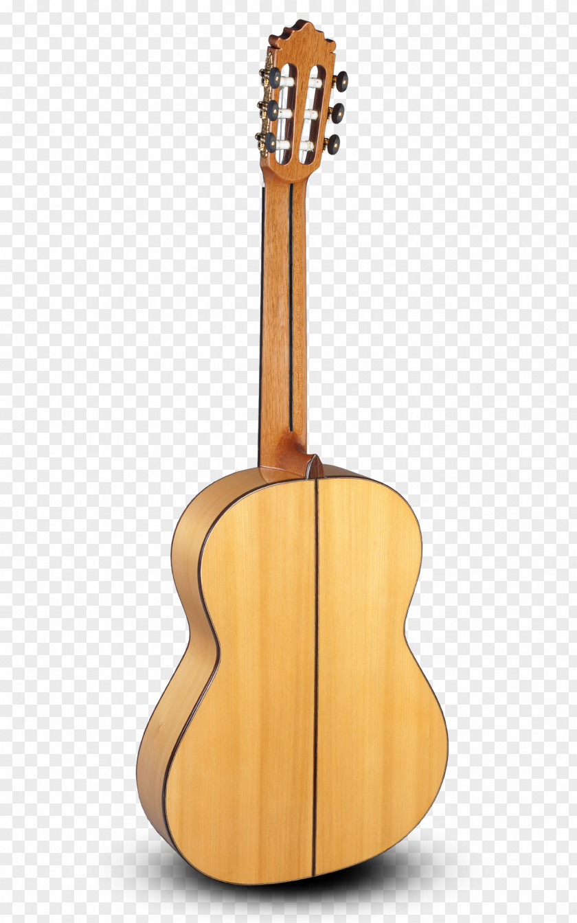 Acoustic Guitar Tiple Cuatro Cavaquinho Acoustic-electric PNG