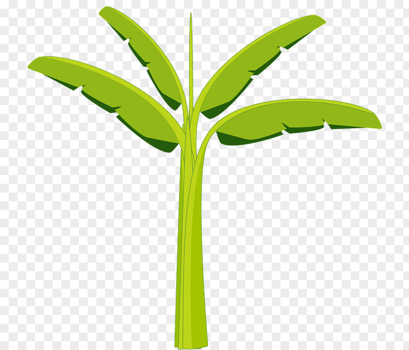 Banana Animation Clip Art Leaf Vector Graphics PNG