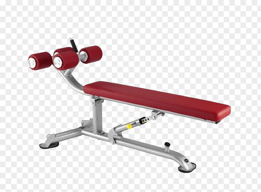 Crunch Bench Exercise Weight Training Physical Fitness PNG