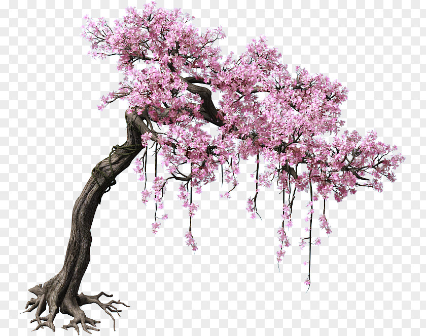 Game Scene Trees Peach Tree Color PNG