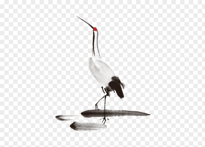 Hand Painted Red-crowned Crane PNG painted red-crowned crane clipart PNG
