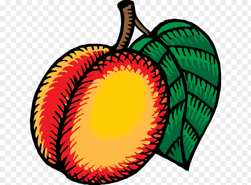 Kiwi Cartoon Nectarine Clip Art PNG