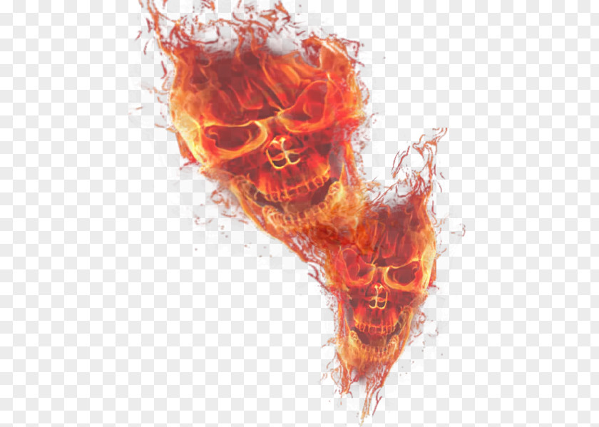 Light Skull Flame PNG