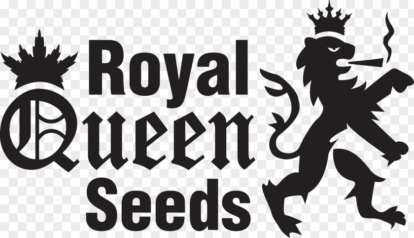Royal Autoflowering Cannabis Seed Bank Germination PNG