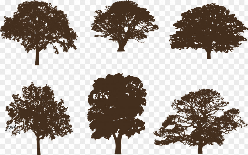 Silhouette Oak Clip Art Vector Graphics Tree PNG