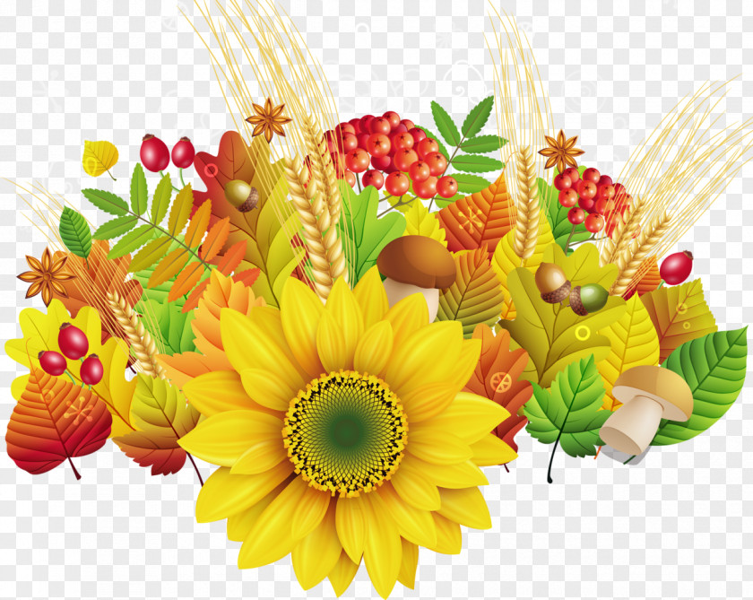 Sunflower Morning Daytime Autumn Mood Internet PNG