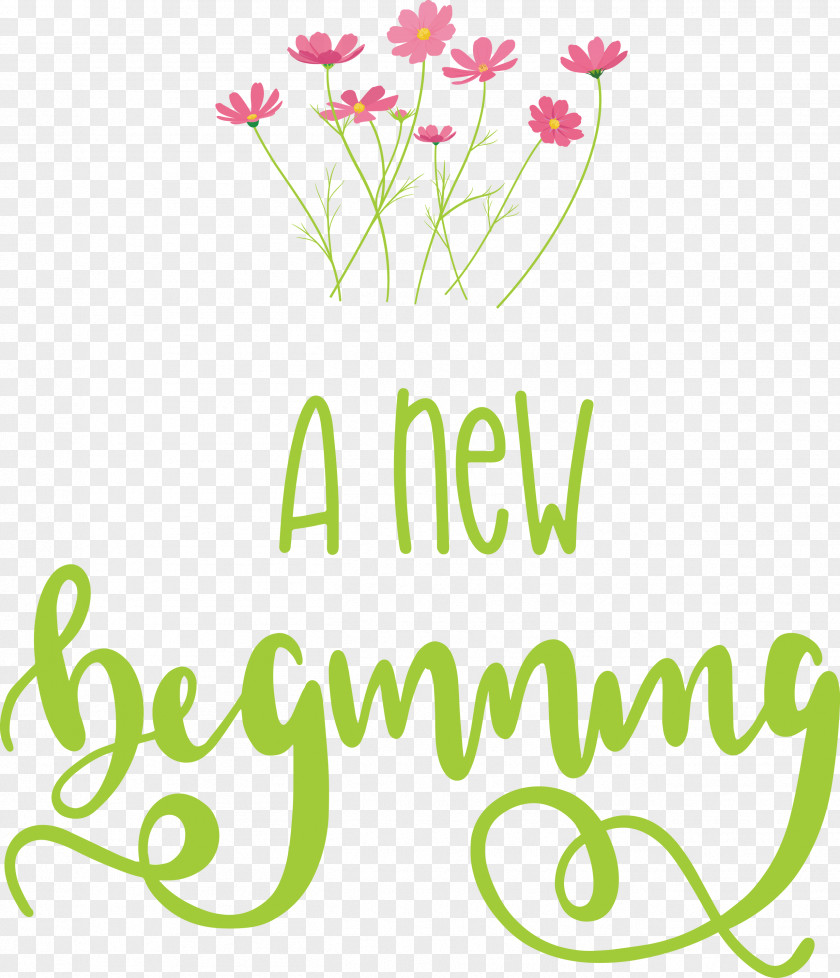 A New Beginning PNG