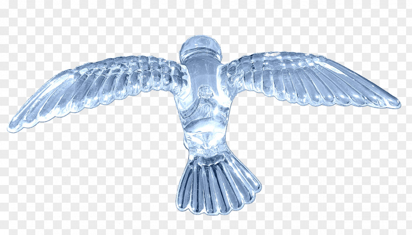 Bird Flight Image PNG