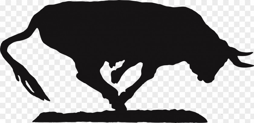 Bull Cattle Photography Silhouette PNG