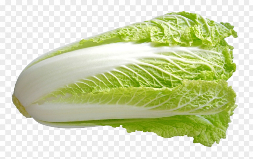 Chinese Cabbage Savoy Romaine Lettuce Spring Greens Napa PNG