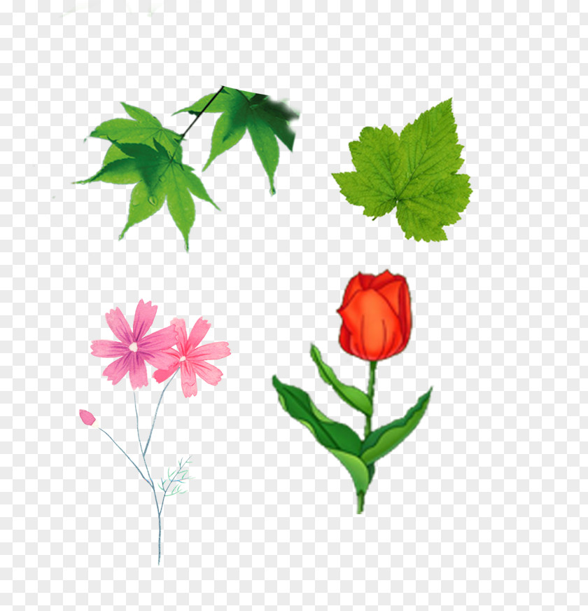 Flowers And Green Leaves Plant Leaf Clip Art PNG