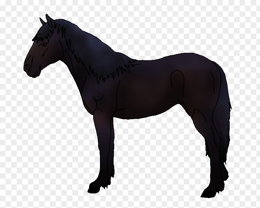 Horse Pony Photography Stallion Royalty-free PNG