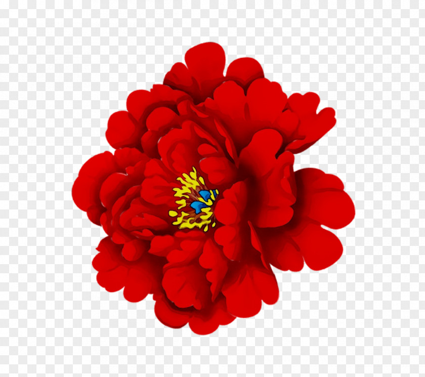 Peony Floral Design Cut Flowers PNG