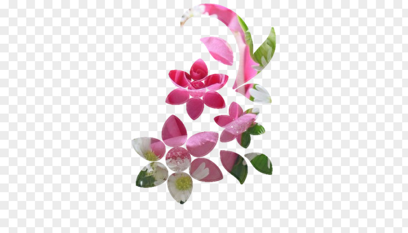 Scraping Oil Moth Orchids Flower Floral Design Petal PNG