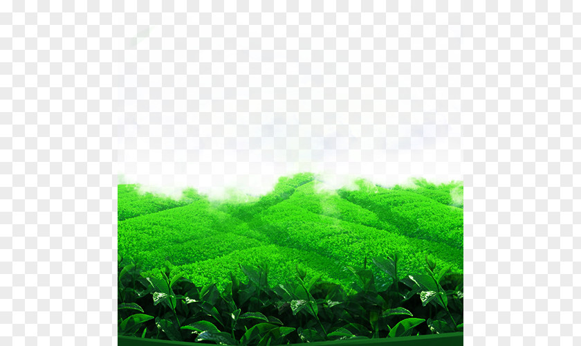 Spring Tea Field Teapot Set Download PNG