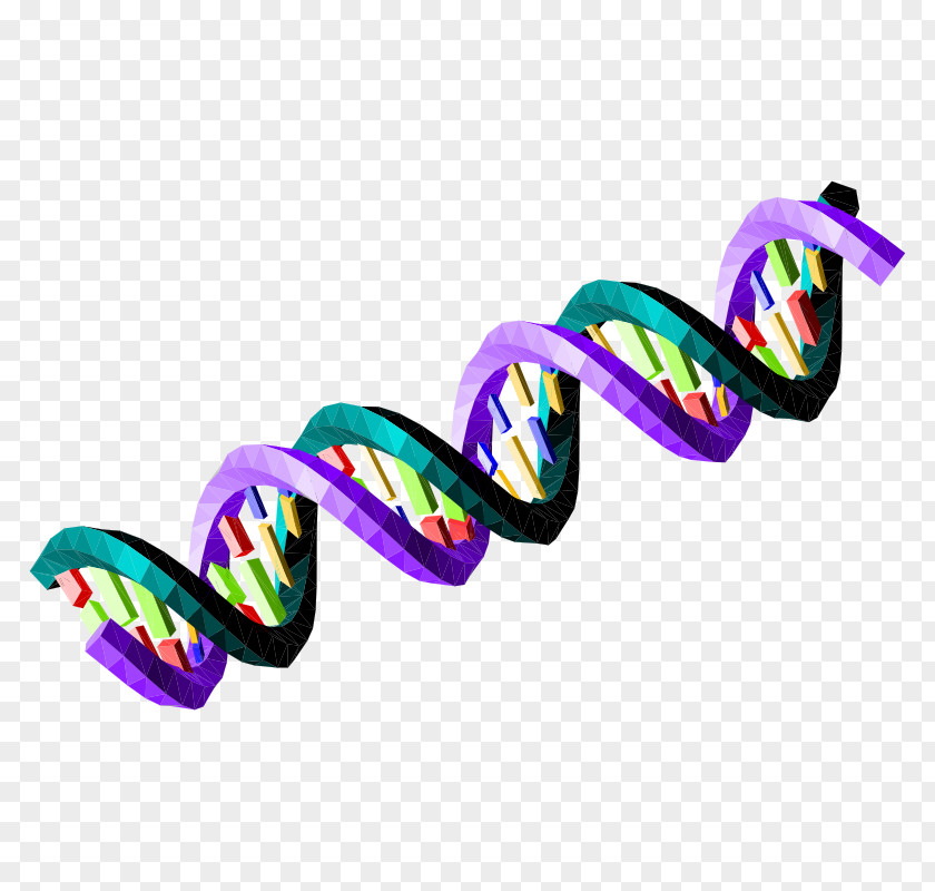Double Helix Nucleic Acid Sequence DNA Bioinformatics Green Clip Art PNG