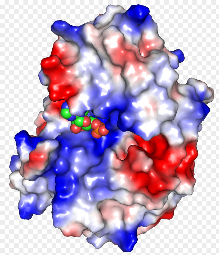 E.colu Art Enzyme Author Candy Molecule PNG