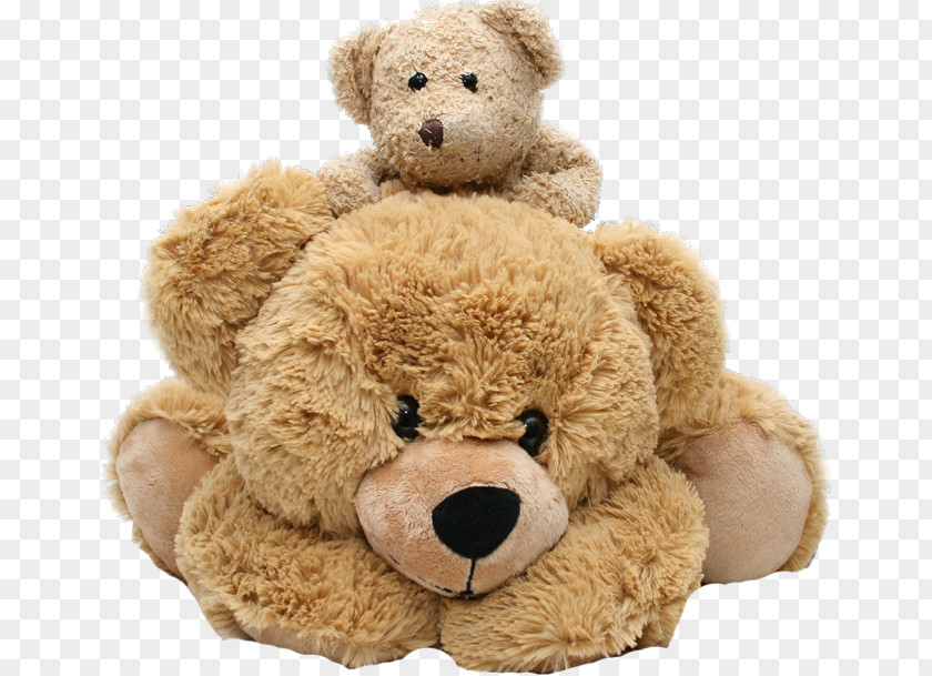 Teddy Bear Stuffed Animals & Cuddly Toys Child PNG bear Child, clipart PNG
