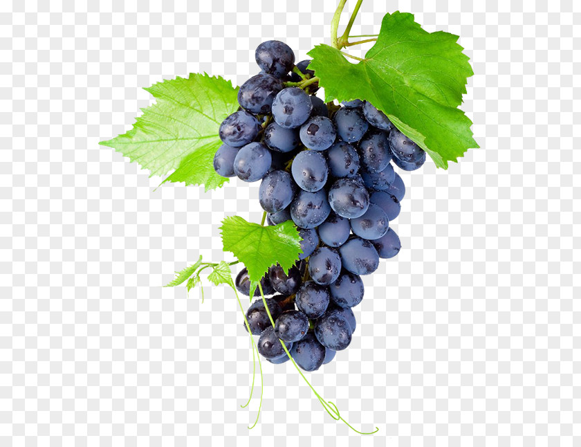 A Bunch Of Grapes Kyoho Grapevines Raceme PNG