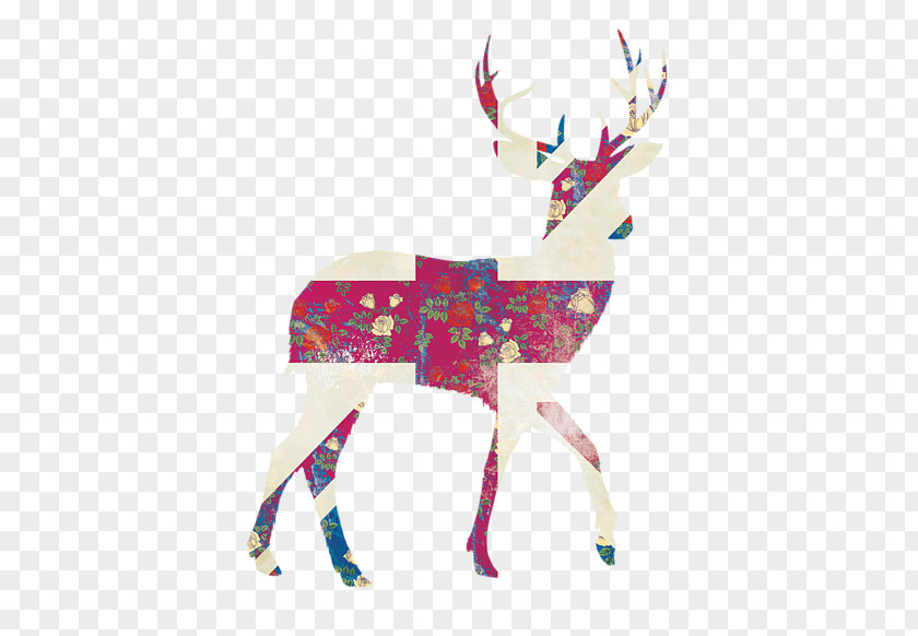 Amanda Reindeer Antler PNG