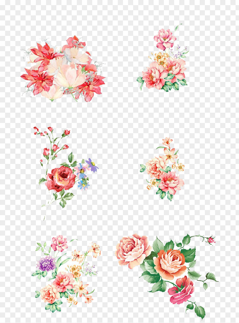Floral Watercolor Design Flower Painting PNG