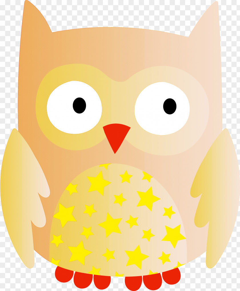 Owls Cat Beak Snowy Owl Birds PNG