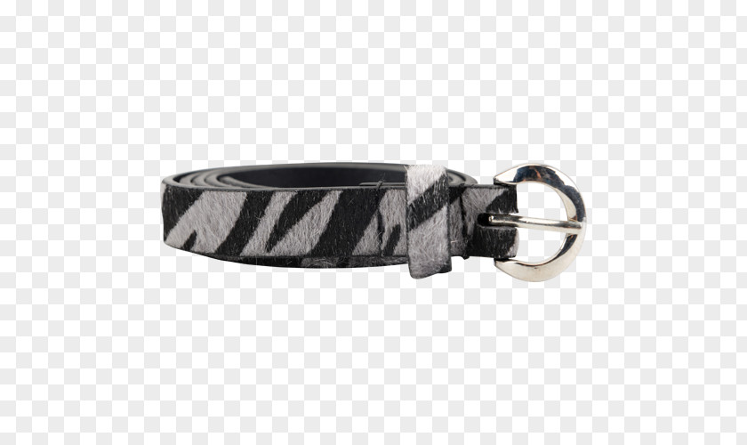 Belt Buckles Dog Collar Leash PNG