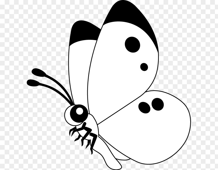 Butterfly Insect Invertebrate Cabbage White Clip Art PNG